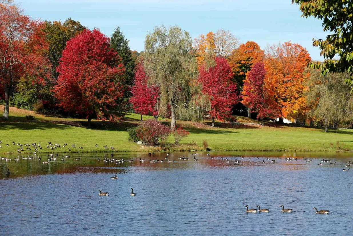 Get A Cash Offer in Newtown CT